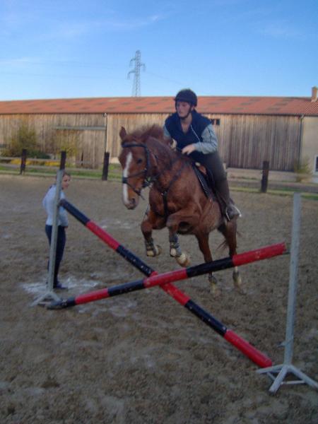 Ma puce et Gloria !